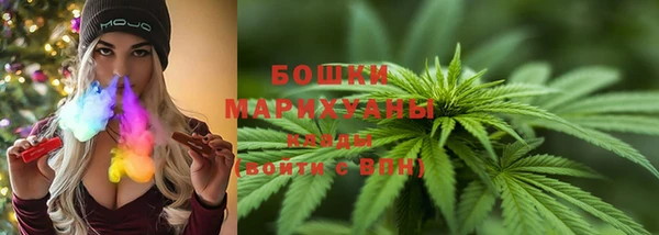 гидропоника Горняк