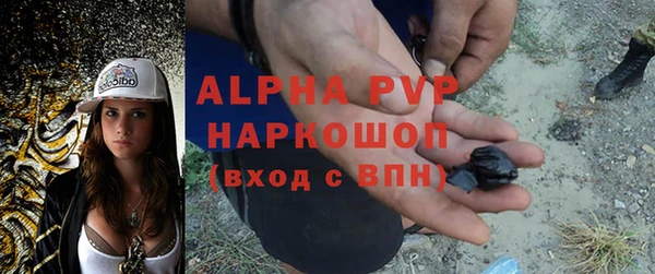 apvp Горно-Алтайск
