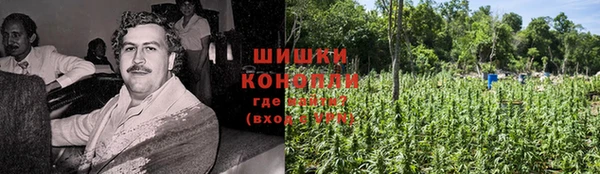 гидропоника Горняк