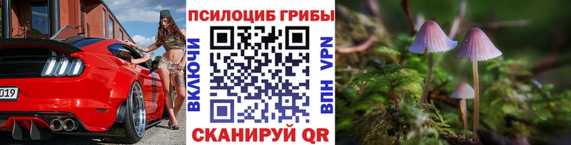 Псилоцибиновые грибы Psilocybine cubensis Мостовской